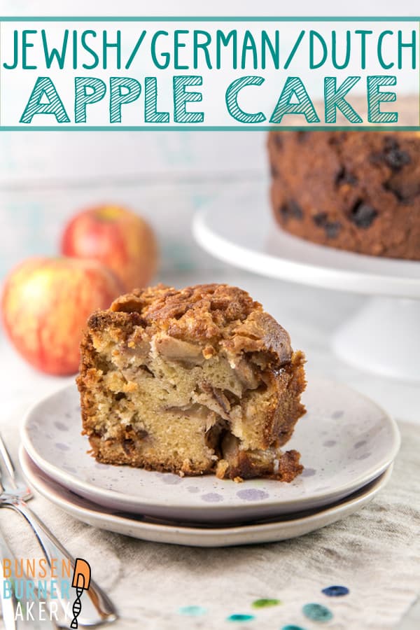 Gâteau aux pommes juif: un mélange facile à la main de gâteau aux pommes sans produits laitiers. Pleine de pommes et de cannelle, c'est la recette automnale parfaite! #bunsenburnerbakery #cake #applecake #jewishapplecake 