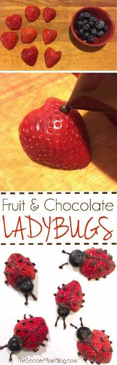 ¡Estas fáciles mariquitas de frutas hacen que comer fruta sea divertido! ¡Una merienda o postre saludable para los niños que les encantará comer! "Width =" 596 "height =" 1846 "srcset =" https://thesoccermomblog.com/wp-content/uploads/2016/01/Chocolate-Fruit- Ladybugs-1.jpg 596w, https://thesoccermomblog.com/wp-content/uploads/2016/01/Chocolate-Fruit-Ladybugs-1-97x300.jpg 97w, https://thesoccermomblog.com/wp-content/ uploads / 2016/01 / Chocolate-Fruit-Ladybugs-1-331x1024.jpg 331w "tamaños =" (ancho máximo: 596px) 100vw, 596px