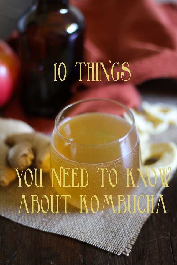 10 Things You Need To Know About Kombucha + Apple Ginger Kombucha Recipe