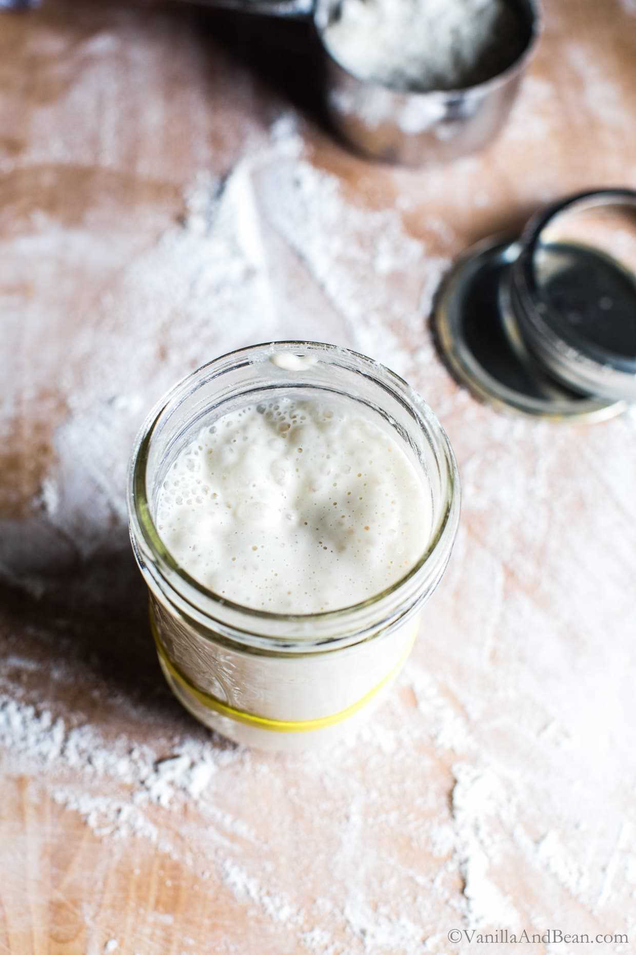 Sourdough starter in a jar, spilling over the top! It