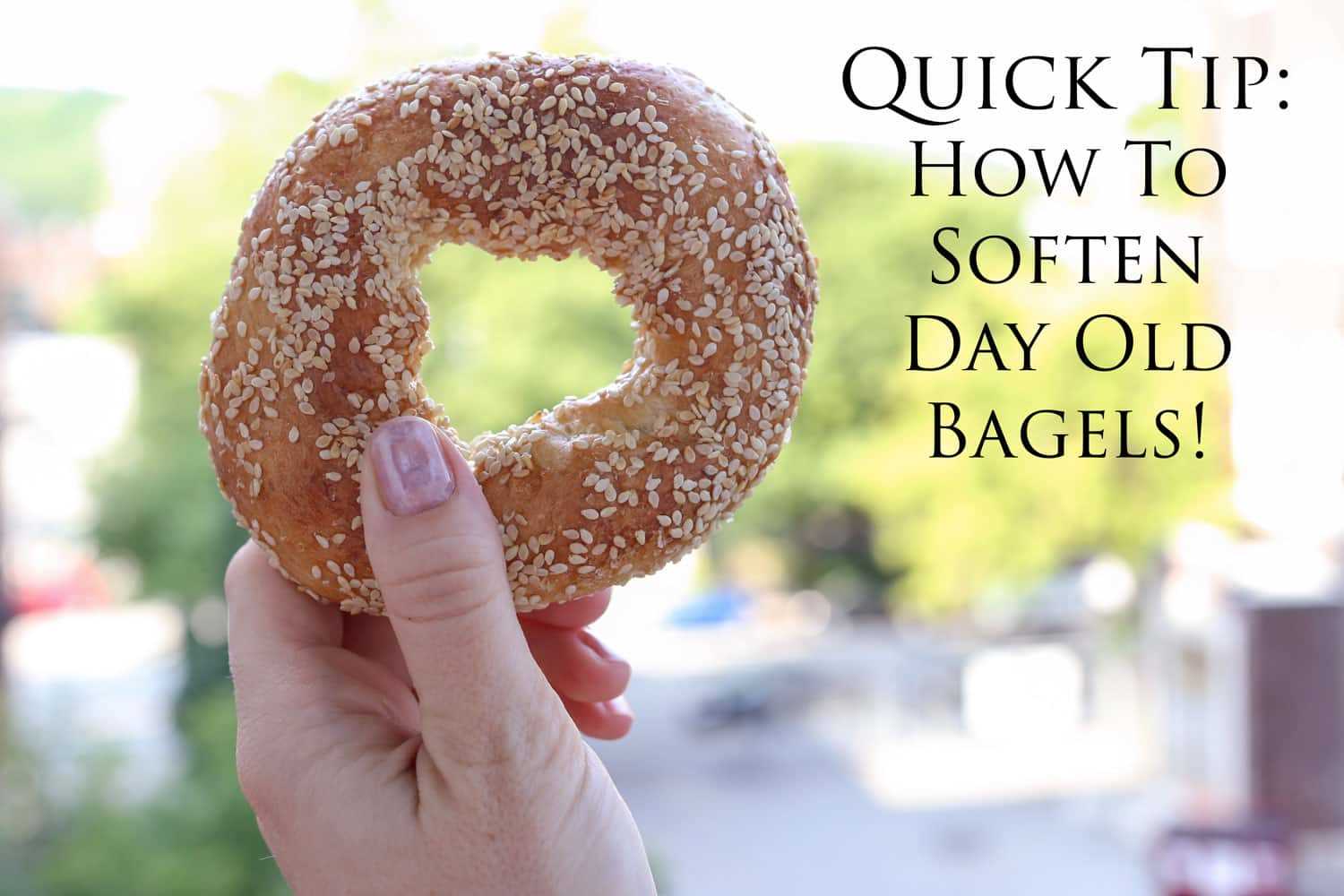 Quick Tip: How To Soften Day Old Bagels - Barefeet In The Kitchen