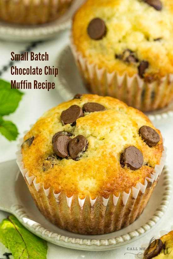 homemade Small Batch Chocolate Chip Muffin Recipe is easy to make in one bowl. #chocolatechip #homemade #smallbatch #breakfast #easyrecipe