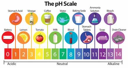 Alkaline Diet Plan ( Indian PH Balance Diet chart )