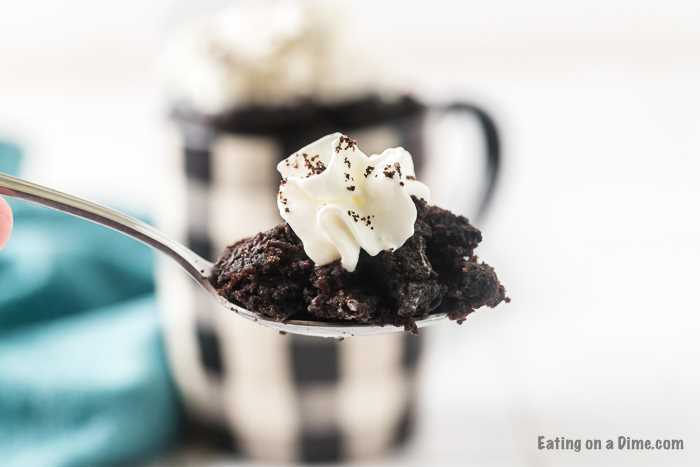 spoonful of mug cake with whipped cream