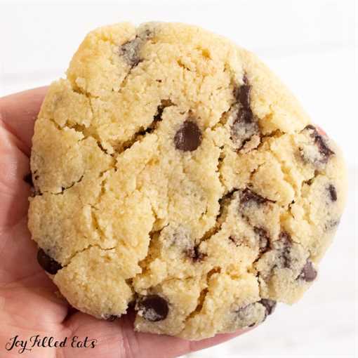 hand holding a single serve chocolate chip cookie