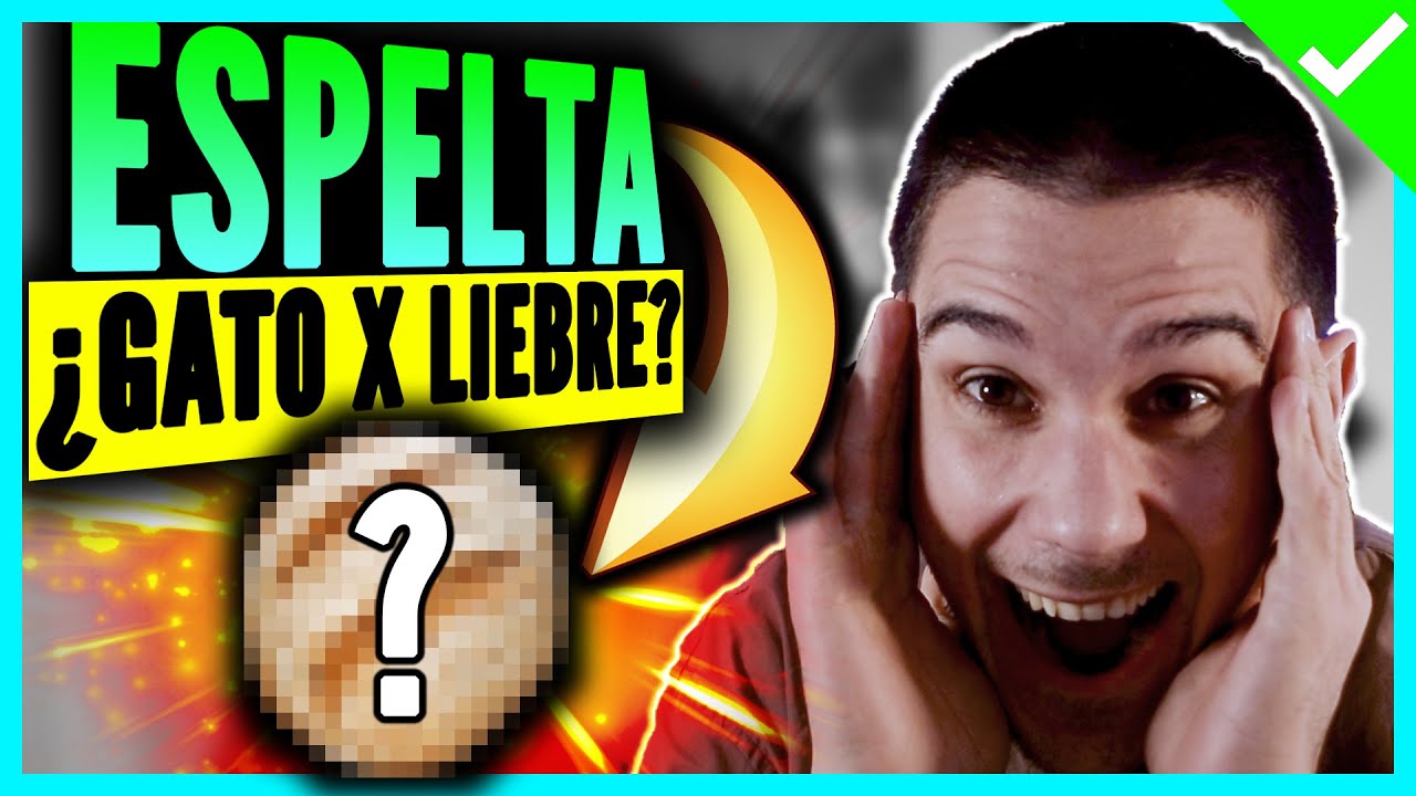 La espelta tiene gluten: 5 datos que debes conocer ya